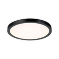 SAVOY LIGHTING ASSETS, BLACK FLUSH MOUNT, FLUSH MOUNT CEILING LIGHTS