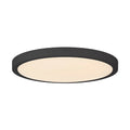SAVOY LIGHTING ASSETS, BLACK FLUSH MOUNT, FLUSH MOUNT CEILING LIGHTS