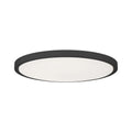 SAVOY LIGHTING ASSETS, BLACK FLUSH MOUNT, FLUSH MOUNT CEILING LIGHTS