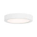 SAVOY LIGHTING ASSETS, WHITE FLUSH MOUNT, FLUSH MOUNT CEILING LIGHTS