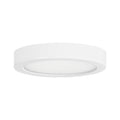 SAVOY LIGHTING ASSETS, WHITE FLUSH MOUNT, FLUSH MOUNT CEILING LIGHTS