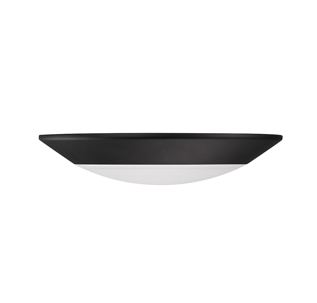 SAVOY LIGHTING ASSETS BLACK DISC 2