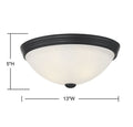 SAVOY ESSENTIALS, TRADITIONAL FLUSH MOUNT 2, FLUSH MOUNT CEILING LIGHTS