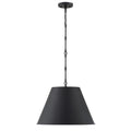 SAVOY ESSENTIALS, ALDEN PENDANT, PENDANT LIGHT