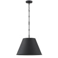 SAVOY ESSENTIALS, ALDEN PENDANT, PENDANT LIGHT