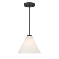 SAVOY ESSENTIALS, BLAIR CONVERTIBLE 2, PENDANT LIGHT