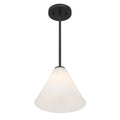 SAVOY ESSENTIALS, BLAIR CONVERTIBLE 2, PENDANT LIGHT