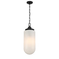 SAVOY ESSENTIALS, BRYANT PENDANT, PENDANT LIGHT