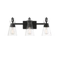 SAVOY HOUSE, LAKEWOOD BATH, BATH VANITY LIGHT
