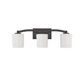 SAVOY HOUSE, WHITNEY BATH, BATH VANITY LIGHT
