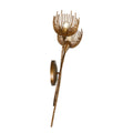 SAVOY HOUSE, PROTEA SCONCE, WALL SCONCES