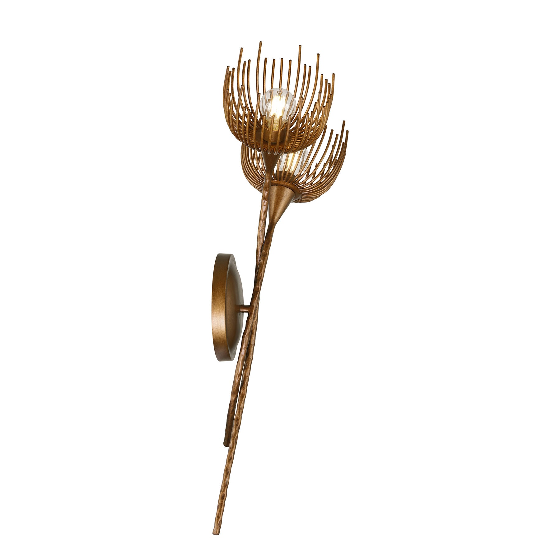 SAVOY HOUSE, PROTEA SCONCE, WALL SCONCES