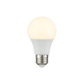 SAVOY LIGHTING ASSETS BULB