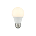 SAVOY LIGHTING ASSETS BULB