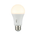 SAVOY LIGHTING ASSETS BULB