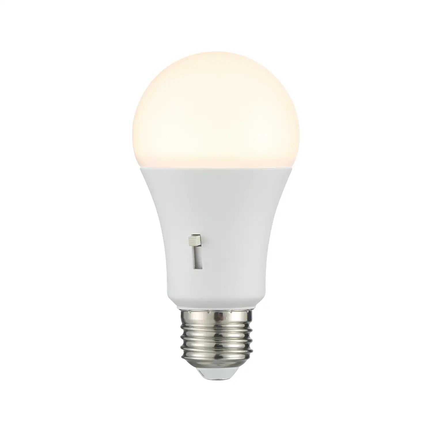 SAVOY LIGHTING ASSETS BULB