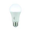 SAVOY LIGHTING ASSETS BULB