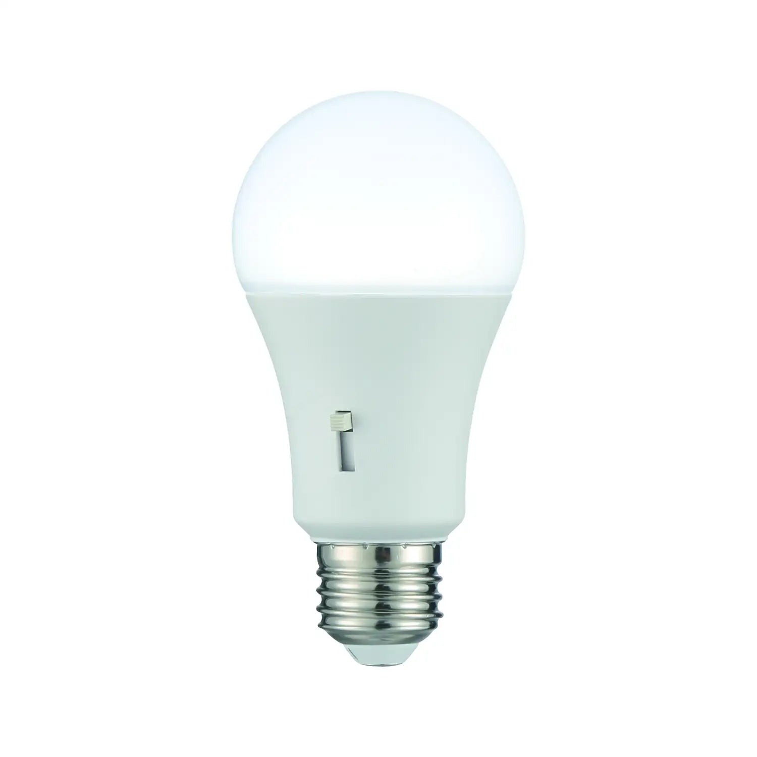 SAVOY LIGHTING ASSETS BULB