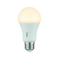 SAVOY LIGHTING ASSETS BULB