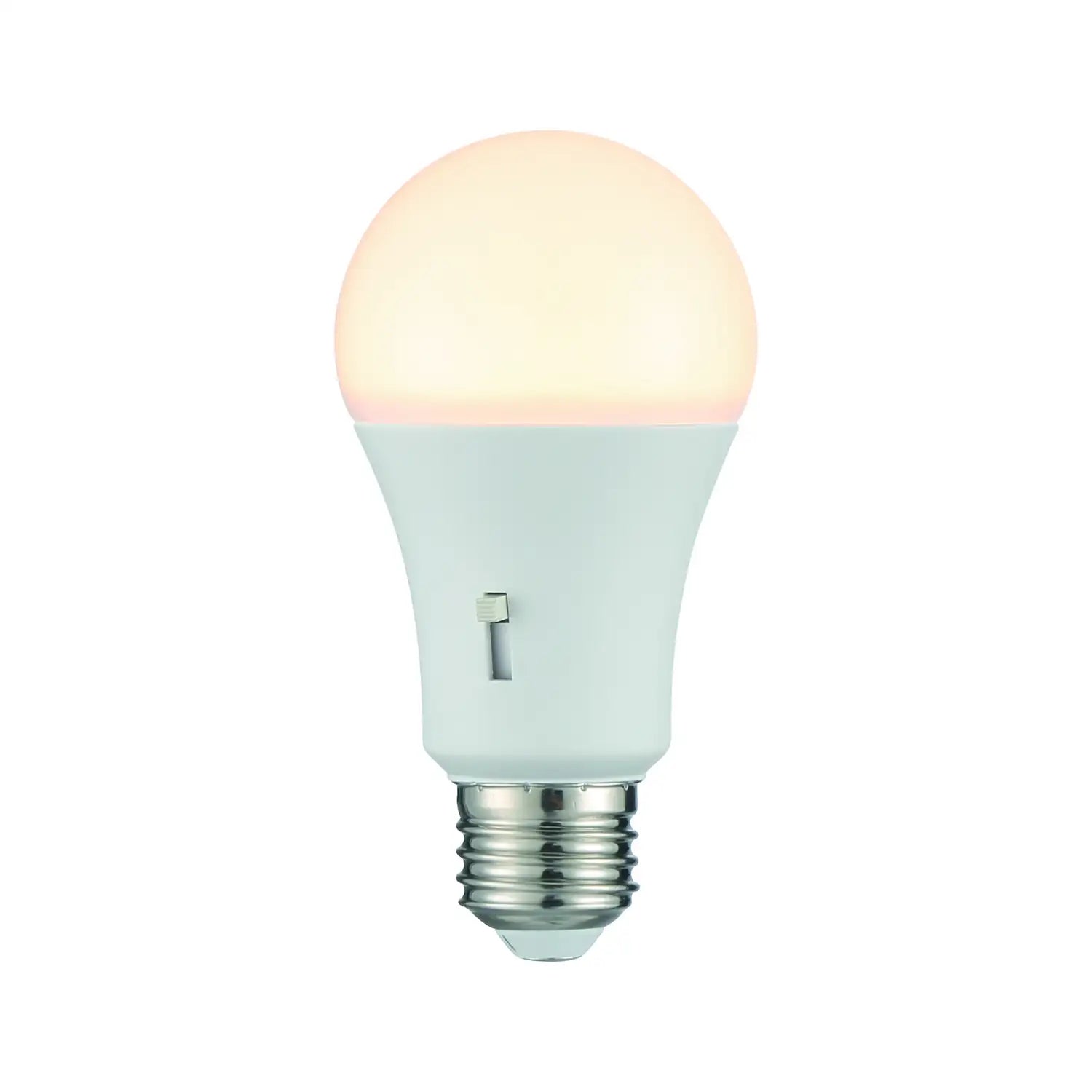 SAVOY LIGHTING ASSETS BULB