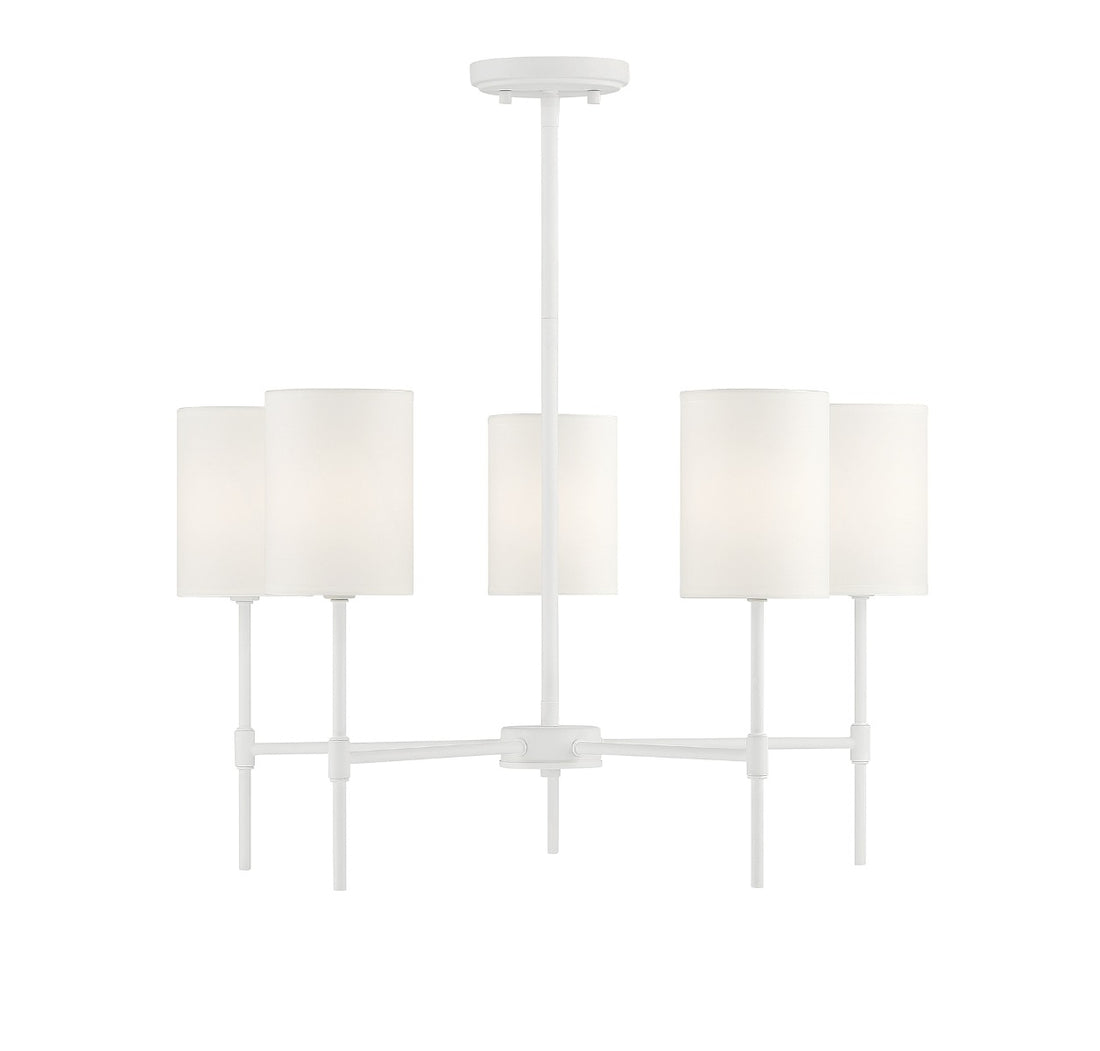 MERIDIAN, VINTAGE TRANSITIONAL CHANDELIER, CHANDELIER LIGHT