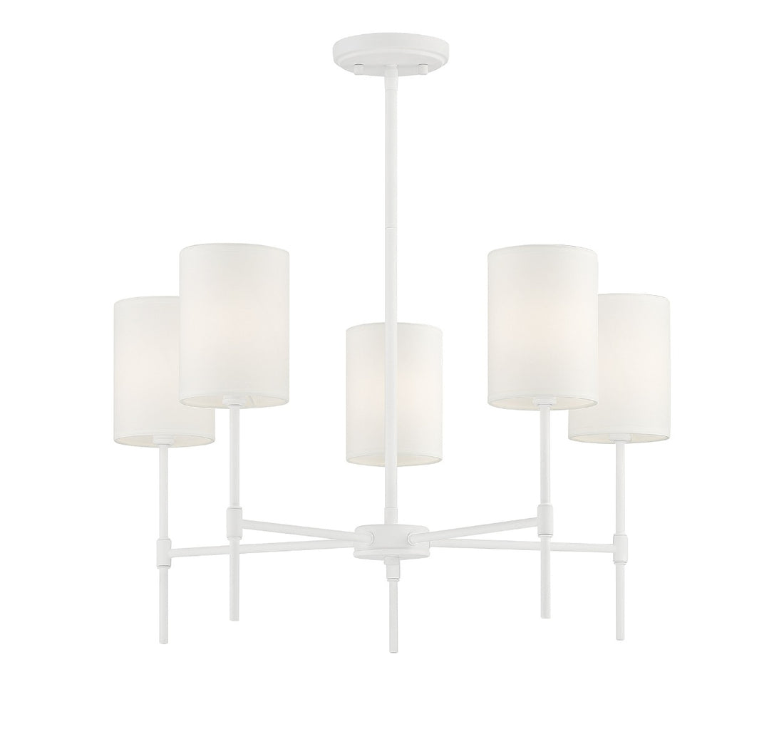 MERIDIAN, VINTAGE TRANSITIONAL CHANDELIER, CHANDELIER LIGHT