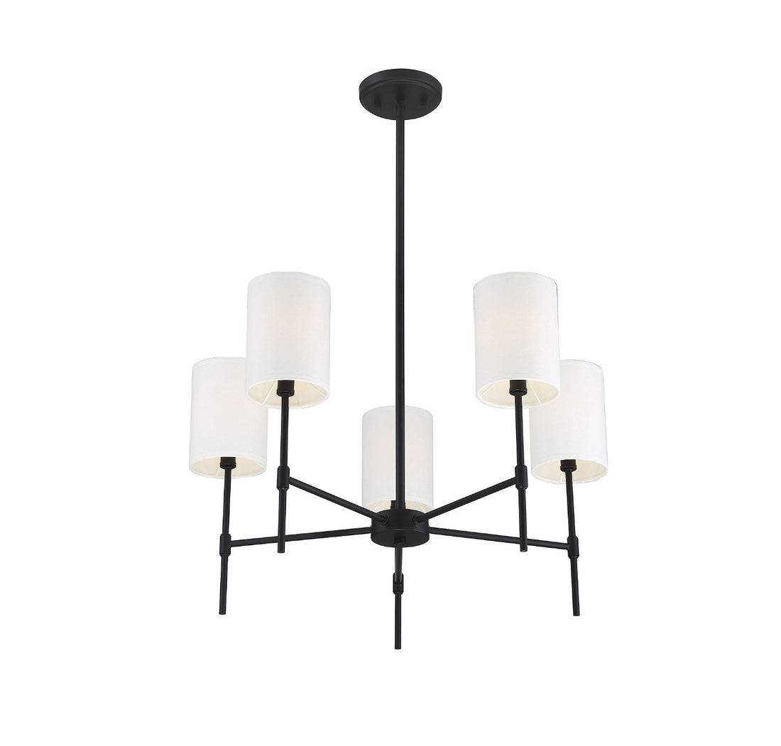 MERIDIAN, TRADITIONAL MODERN CHANDELIER 2, CHANDELIER LIGHT