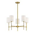 MERIDIAN, TRADITIONAL MODERN CHANDELIER 2, CHANDELIER LIGHT