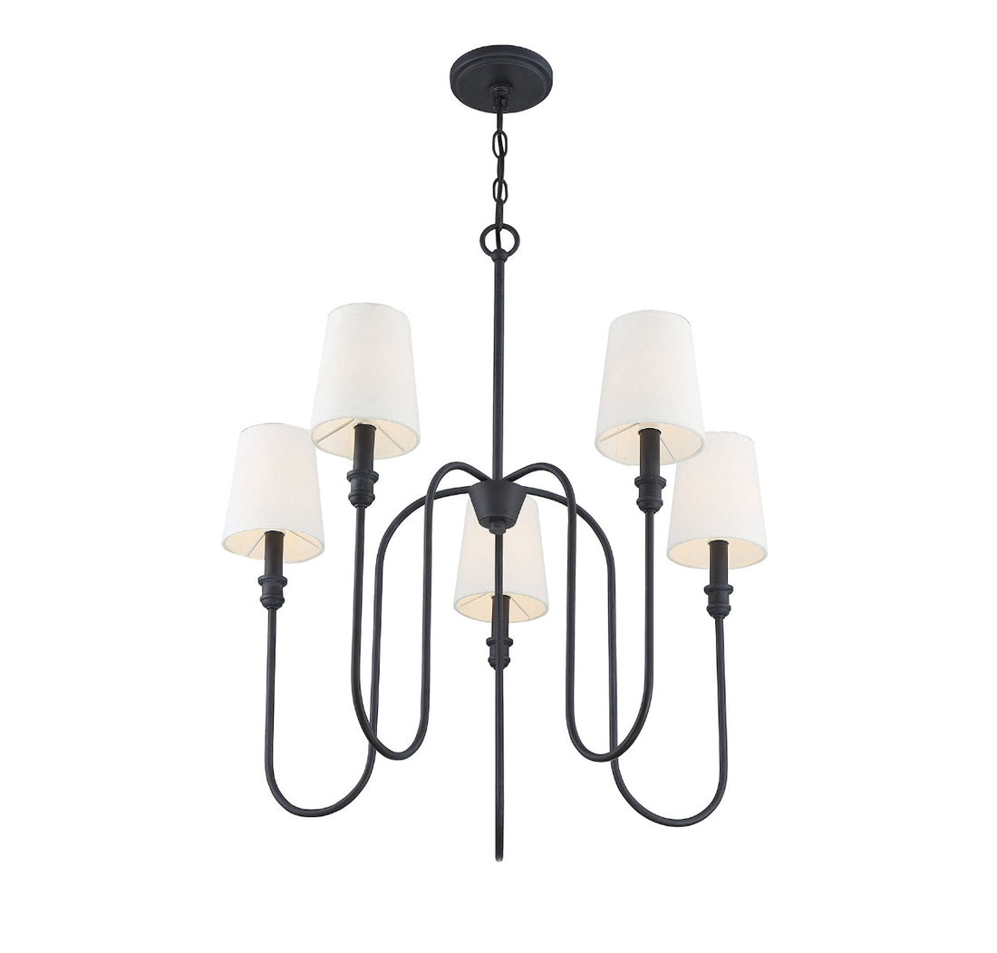 MERIDIAN, TRADITIONAL MODERN CHANDELIER, CHANDELIER LIGHT