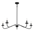 MERIDIAN, TRADITIONAL FARMHOUSE CHANDELIER, CHANDELIER LIGHT