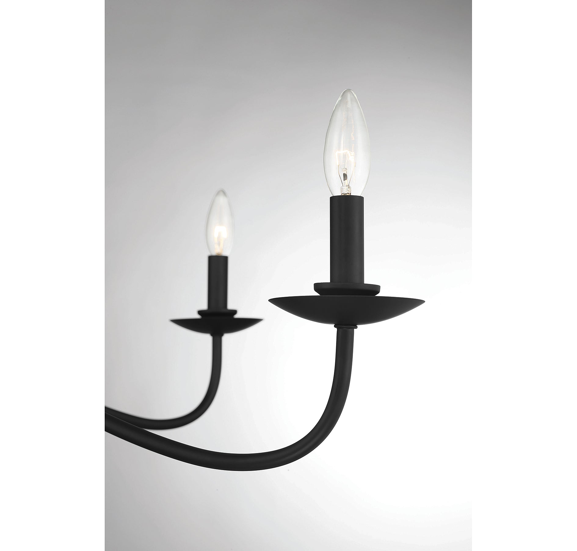 MERIDIAN, TRADITIONAL FARMHOUSE CHANDELIER, CHANDELIER LIGHT
