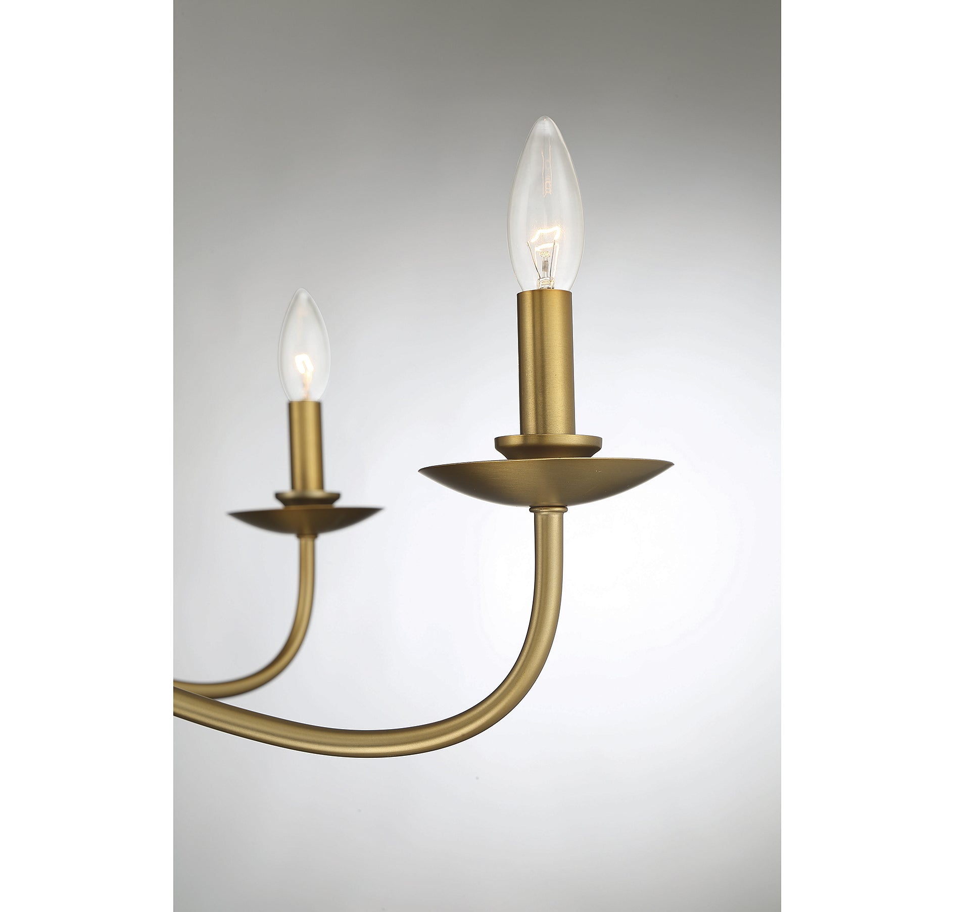 MERIDIAN, TRADITIONAL FARMHOUSE CHANDELIER, CHANDELIER LIGHT