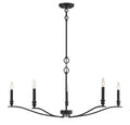 MERIDIAN, TRANSITIONAL CHANDELIER 4, CHANDELIER LIGHT