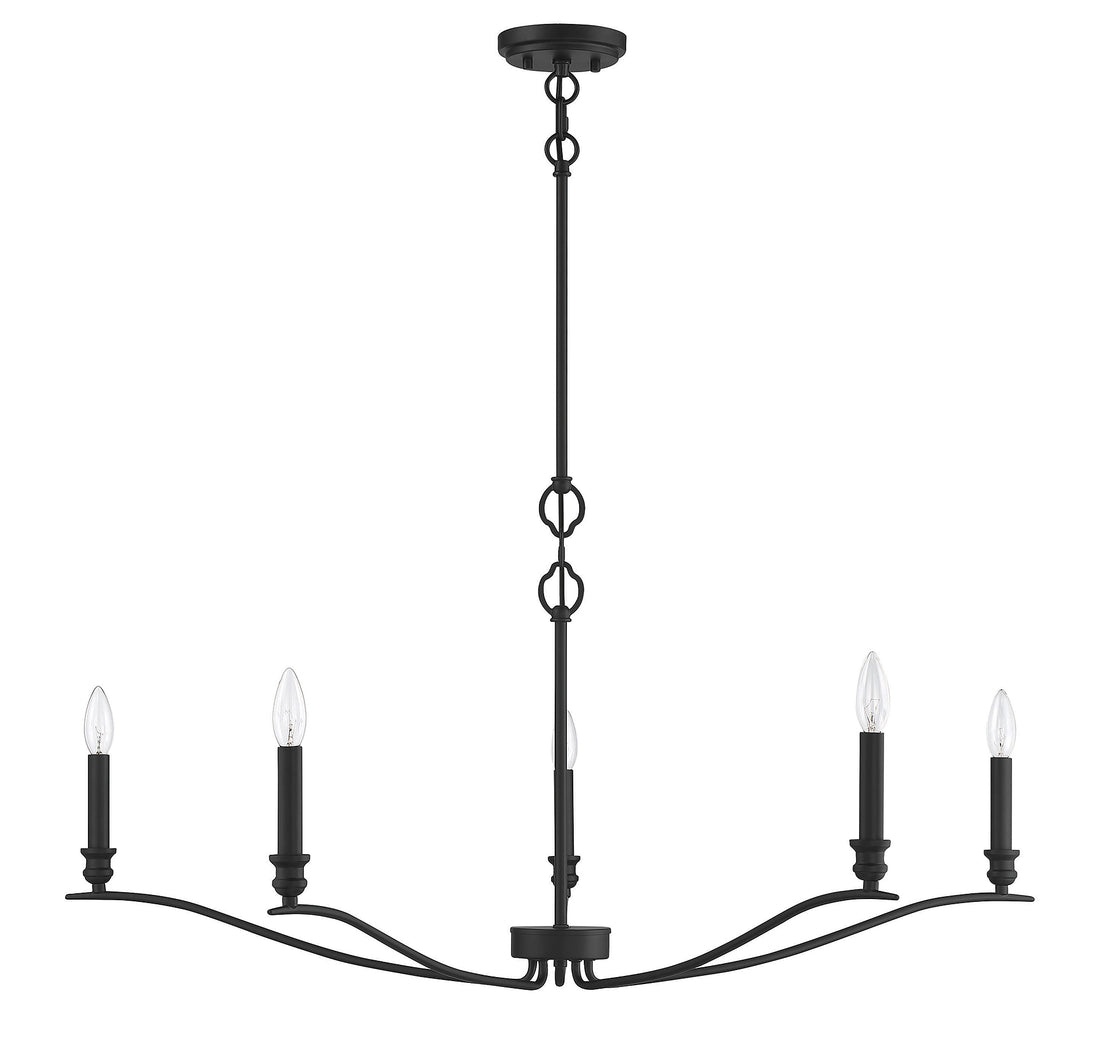MERIDIAN, TRANSITIONAL CHANDELIER 4, CHANDELIER LIGHT