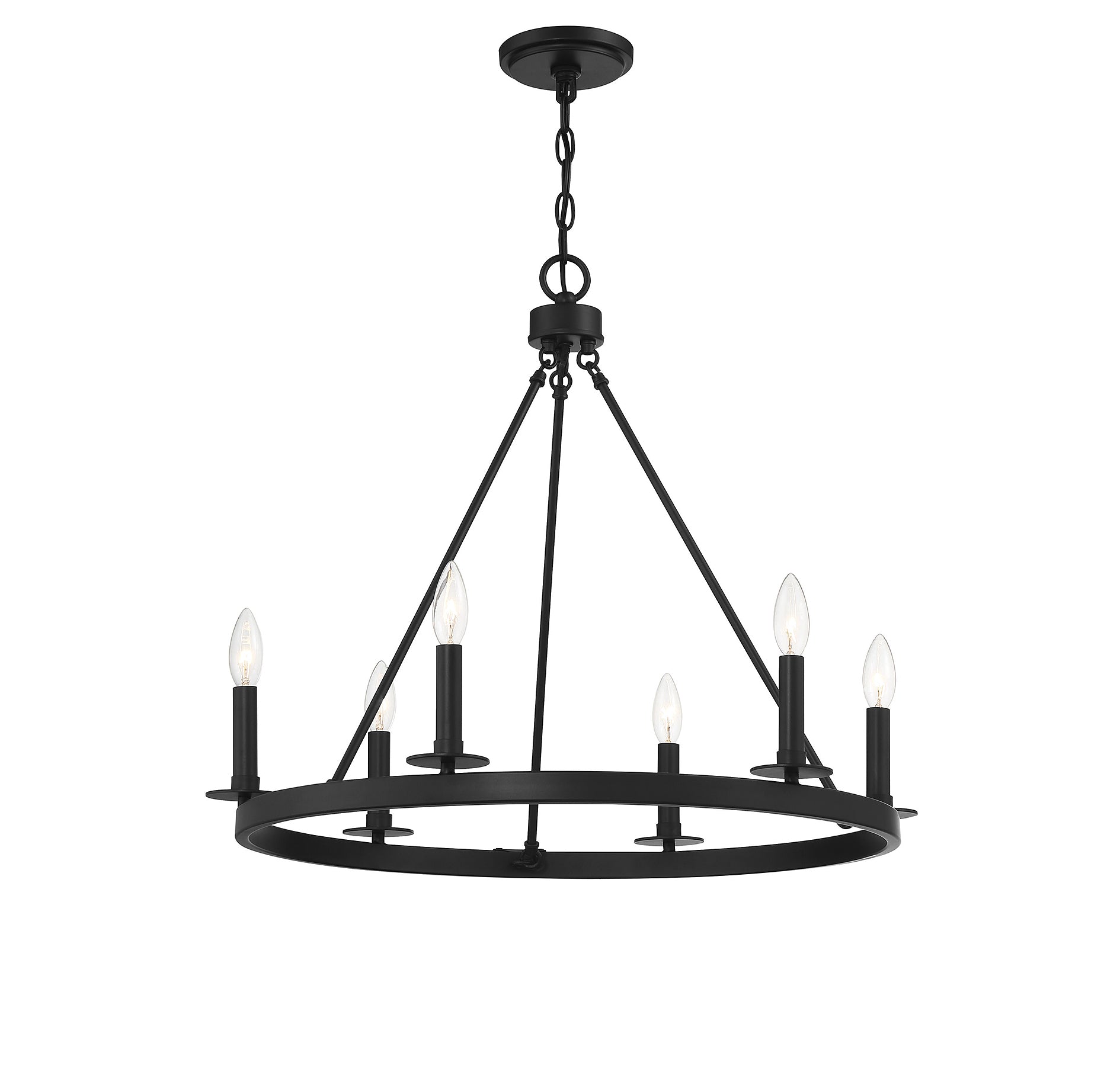 MERIDIAN, TRADITIONAL TRANSITIONAL CHANDELIER, CHANDELIER LIGHT