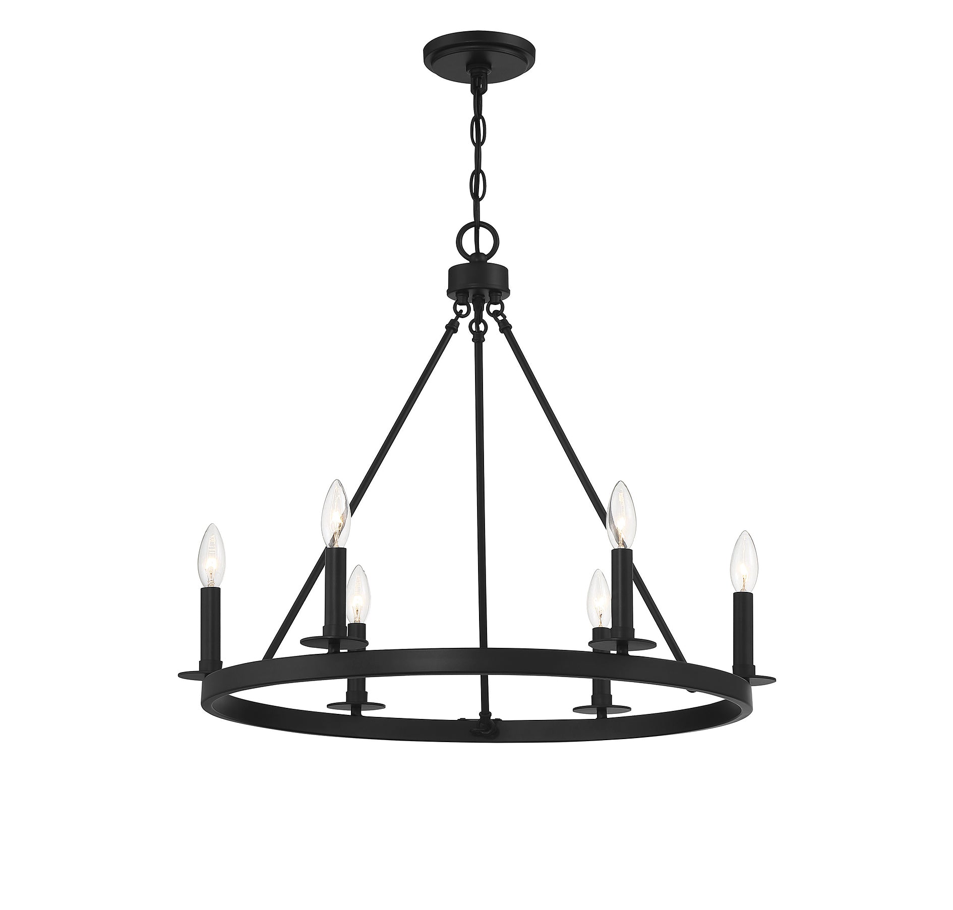 MERIDIAN, TRADITIONAL TRANSITIONAL CHANDELIER, CHANDELIER LIGHT