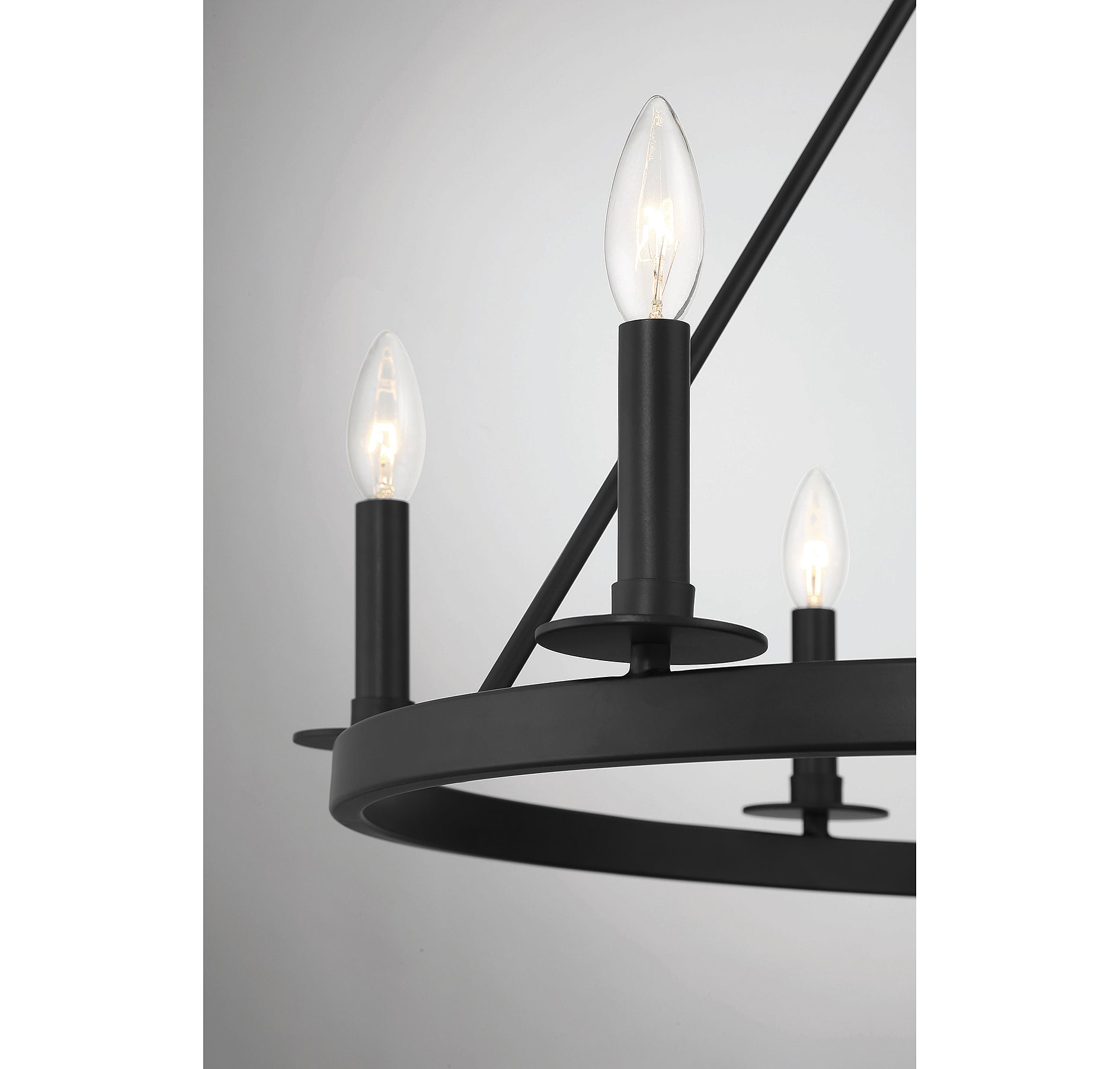 MERIDIAN, TRADITIONAL TRANSITIONAL CHANDELIER, CHANDELIER LIGHT