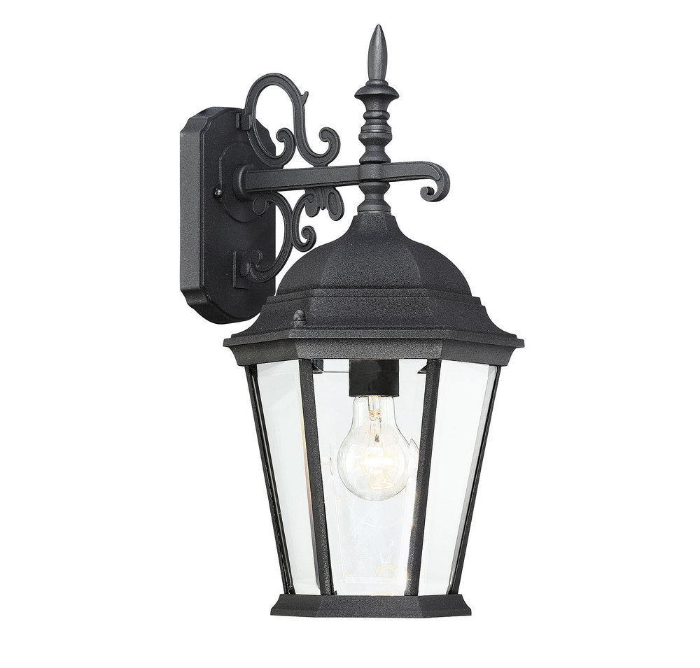 MERIDIAN, TRANSITIONAL OUTDOOR: WALL LANTERN, OUTDOOR WALL LIGHTS