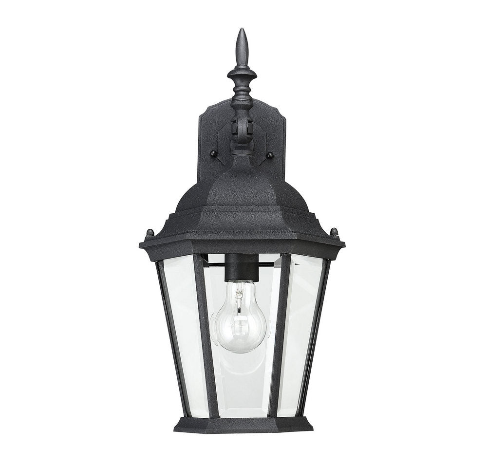 MERIDIAN, TRANSITIONAL OUTDOOR: WALL LANTERN, OUTDOOR WALL LIGHTS