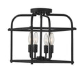 MERIDIAN, TRANSITIONAL SEMI-FLUSH 2, SEMI FLUSH MOUNT LIGHT