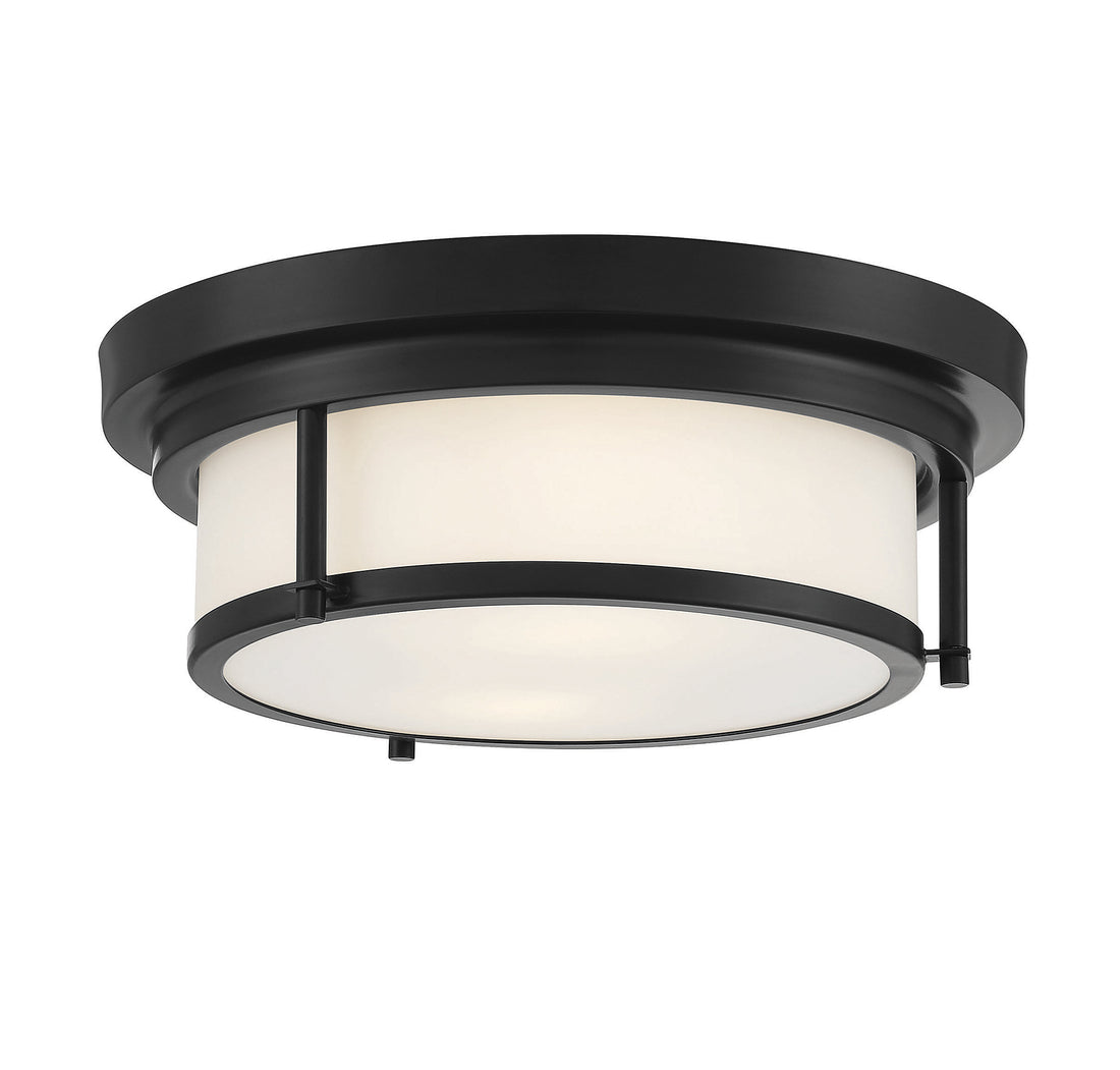 MERIDIAN, CONTEMPORARY FLUSH MOUNT, FLUSH MOUNT CEILING LIGHTS