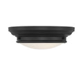 MERIDIAN, TRANSITIONAL FLUSH MOUNT, FLUSH MOUNT CEILING LIGHTS