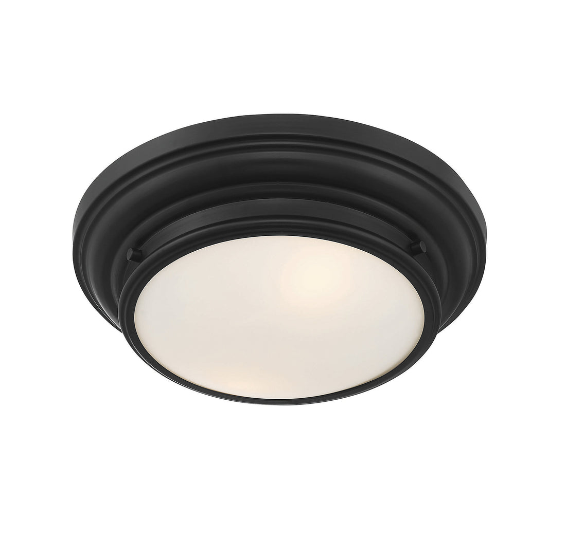 MERIDIAN, TRANSITIONAL FLUSH MOUNT, FLUSH MOUNT CEILING LIGHTS