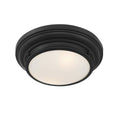 MERIDIAN, TRANSITIONAL FLUSH MOUNT, FLUSH MOUNT CEILING LIGHTS