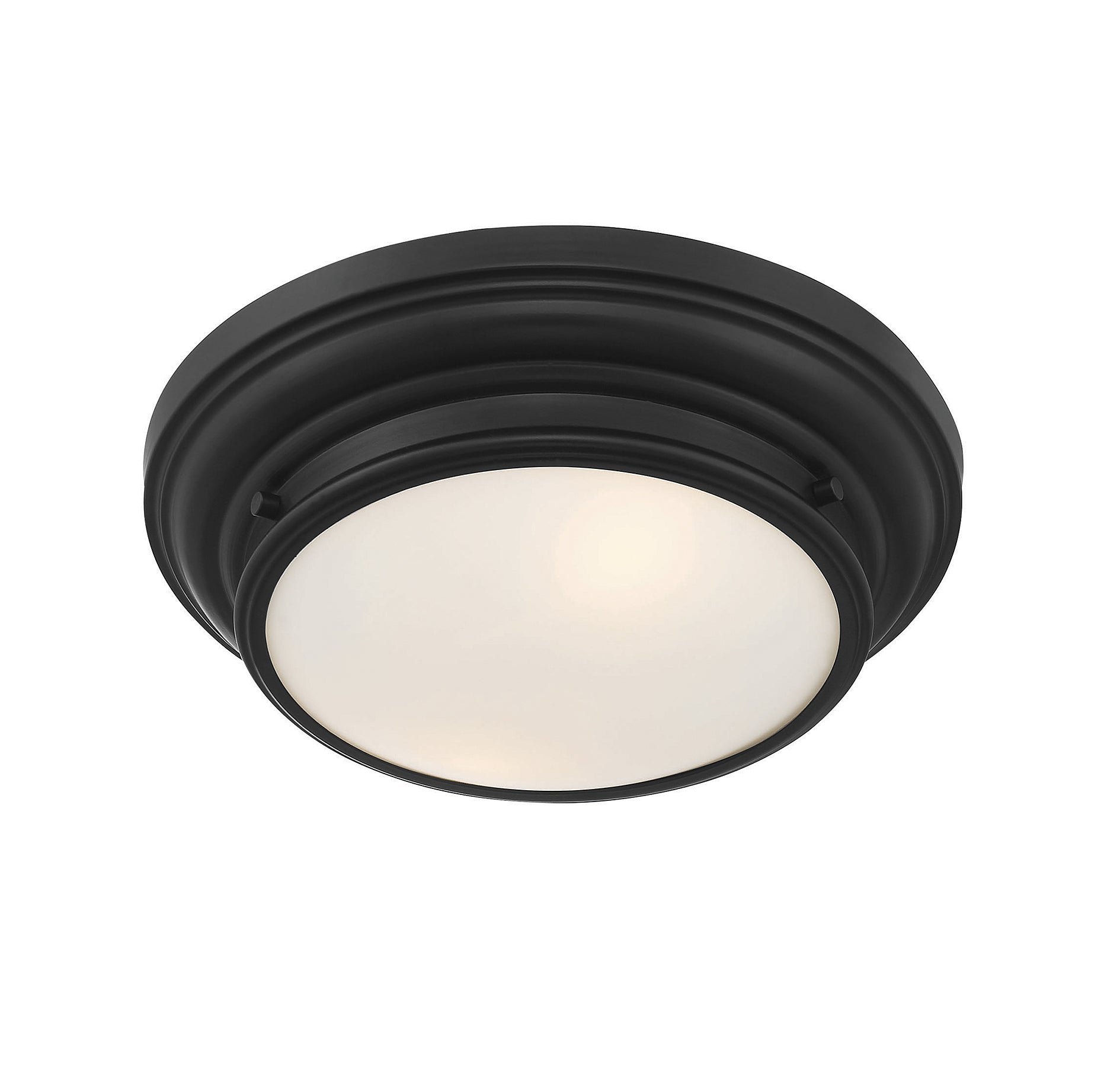 MERIDIAN, TRANSITIONAL FLUSH MOUNT, FLUSH MOUNT CEILING LIGHTS