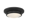 MERIDIAN, TRANSITIONAL FLUSH MOUNT, FLUSH MOUNT CEILING LIGHTS