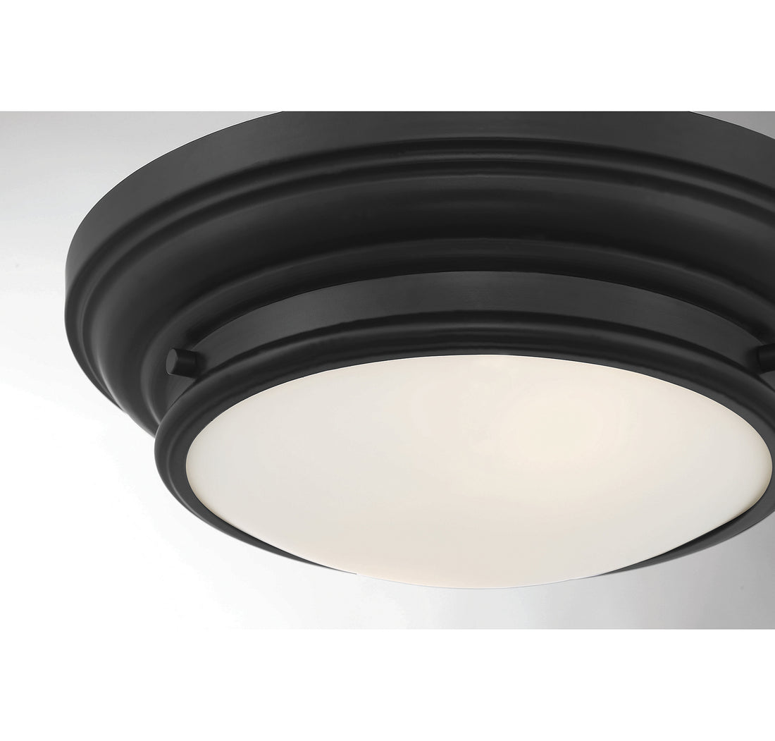 MERIDIAN, TRANSITIONAL FLUSH MOUNT, FLUSH MOUNT CEILING LIGHTS