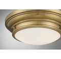 MERIDIAN, TRANSITIONAL FLUSH MOUNT, FLUSH MOUNT CEILING LIGHTS