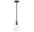 MERIDIAN, INDUSTRIAL TRANSITIONAL PENDANT 2, PENDANT LIGHT