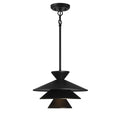 MERIDIAN, CONTEMPORARY MODERN PENDANT 2, PENDANT LIGHT